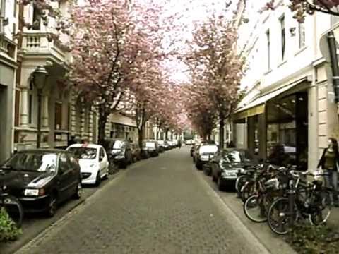 Die Arme Katze: Altstadt