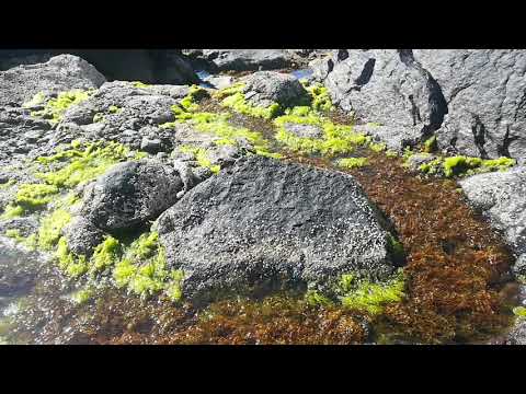 Meine Buchempfehlung " Ihr seid Lichtwesen "