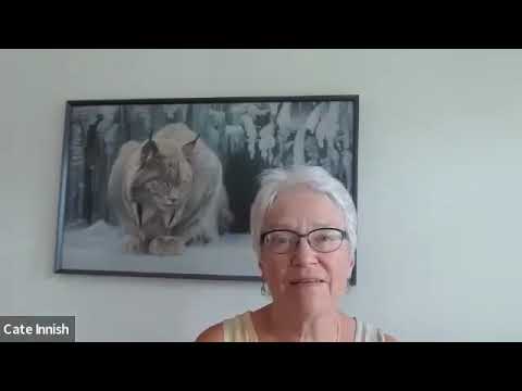 #29:  Crone's Corner With Cate - There Are No Holes