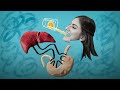 A Cleanse Won T Detox Your Body But Here S What Will Body Stuff With Dr Jen Gunter TED