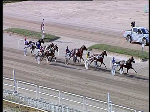 Trotto 13/09/2019 - 5ª corsa