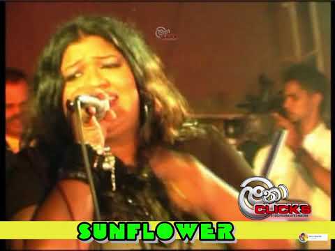 SINDI BINDI ADARE//සිඳී බිඳී ආදරේ//SHANIKA WANIGASEKARA//සන්ෆ්ලවර් ඉන්දික සමඟින් ශානිකා//SUNFLOWER