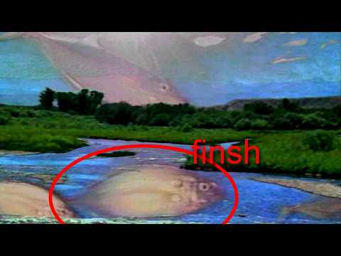 a future for fishes 🐟🎵🐟🎵