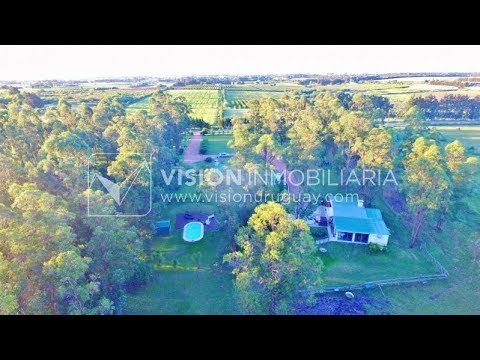Chacra de 15 hás con el confort de hermosa casa reciclada, barbacoa y piscina climatizada.