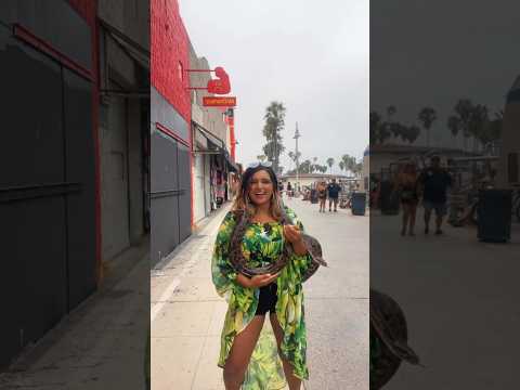 Doing the Tyla dance with a snake in Venice beach! #venicebeach #tyladance #tiktokdance #adventure