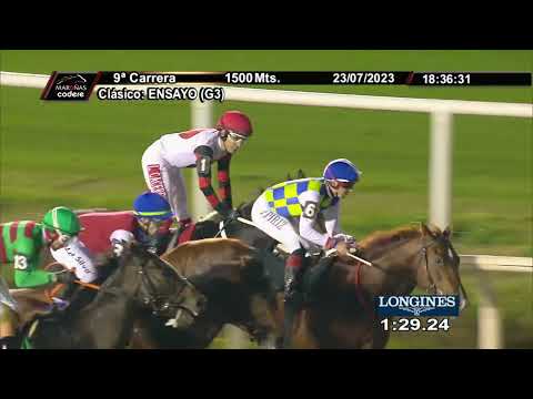 230723 c09 Ensayo/ MAJESTIC BOY