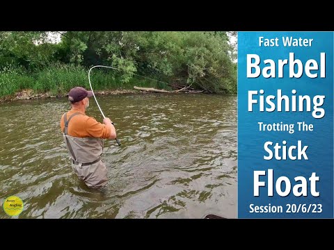 Barbel Fishing - Fast Water Stick Float Trotting On The River Wye - 20/6/23 (Video 413)