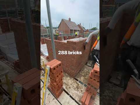 You can’t lay a 1000 bricks a day 🤦🏼🧱#bricklaying #bricklayer #brickwork #trowellife #pricework