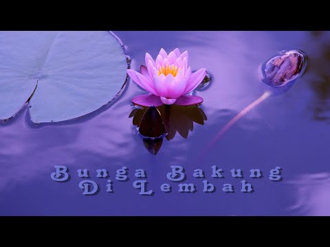 PARDEDE Bunga Bakung Di Lembah /The Lily Of The Valley