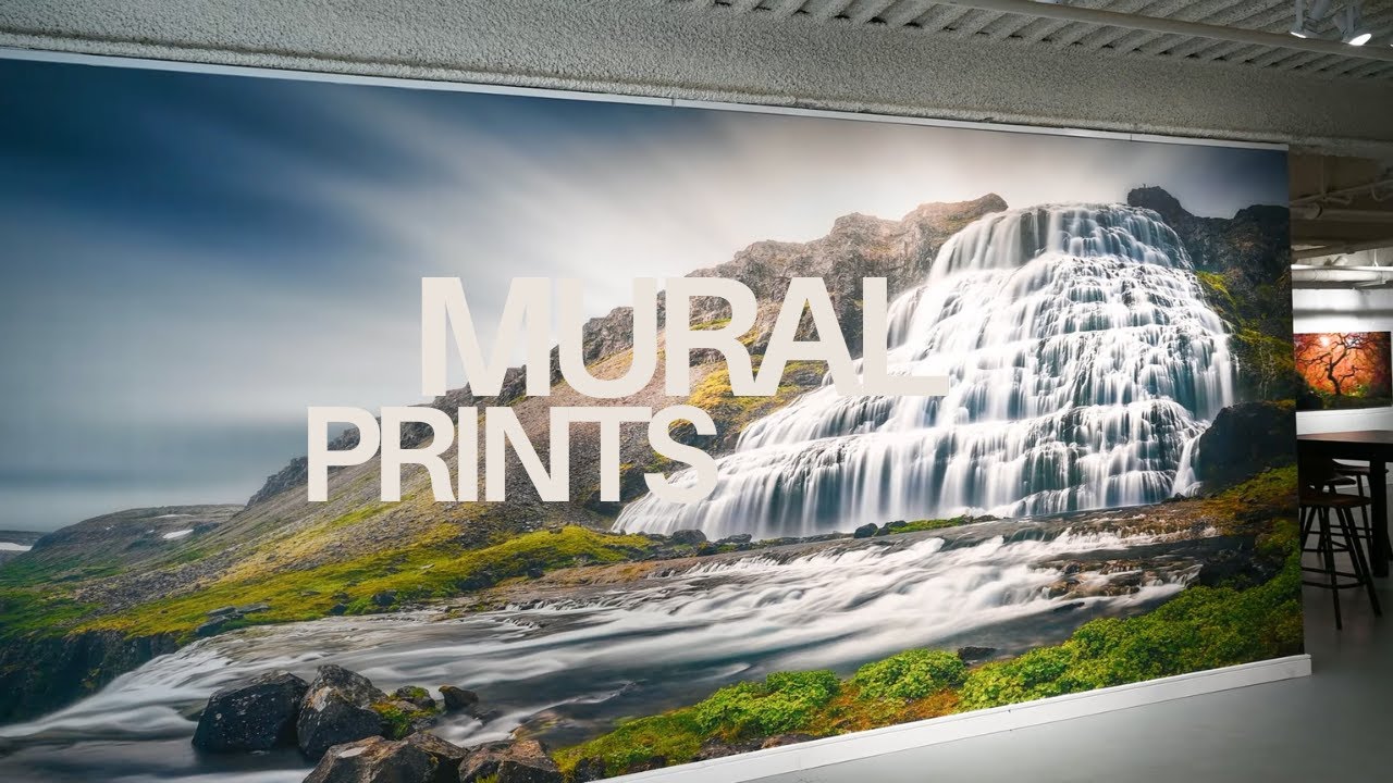Custom Wall Mural Printing Options & Installation