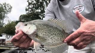 New Bait is SICK.. as the kids say.. Just Fire!!