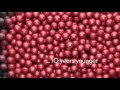 A video relevant to this listing