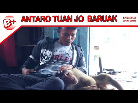 tuan-baruak-lawak-minang-komedi-minang-lucu