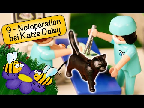 PLAYMOBIL® Familie Biene - Folge 9 - Notoperation bei Katze Daisy 🚑🐈🙀