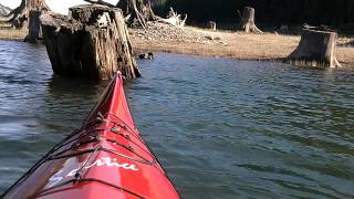 preview picture of video 'Lake Keechelus Stump Forest Kayaking'