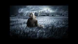 Niereich & Mike Maass - Changing Societies (Original Mix)