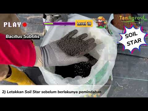 𝙋𝘼𝙍𝙏 2: 𝘽𝙖𝙜𝙖𝙞𝙢𝙖𝙣𝙖 𝙣𝙖𝙠 𝙩𝙖𝙣𝙖𝙢 𝙩𝙚𝙧𝙪𝙣𝙜 𝙙𝙖𝙣 𝙢𝙚𝙢𝙥𝙚𝙧𝙤𝙡𝙚𝙝 𝙝𝙖𝙨𝙞𝙡 𝙮𝙖𝙣𝙜 𝙗𝙖𝙞𝙠 ?