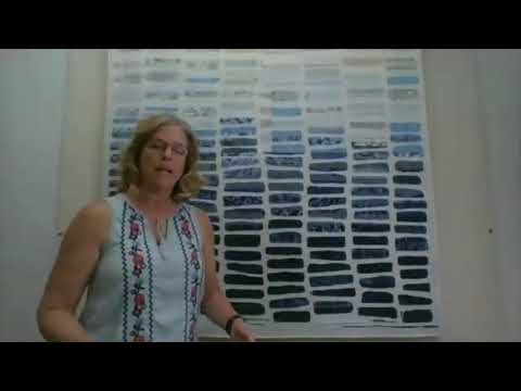 Go Tell It at the Quilt Show! interview with Sara Bradshaw