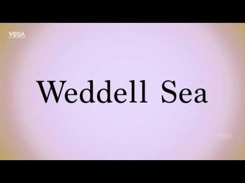 How To Pronounce Weddell Sea