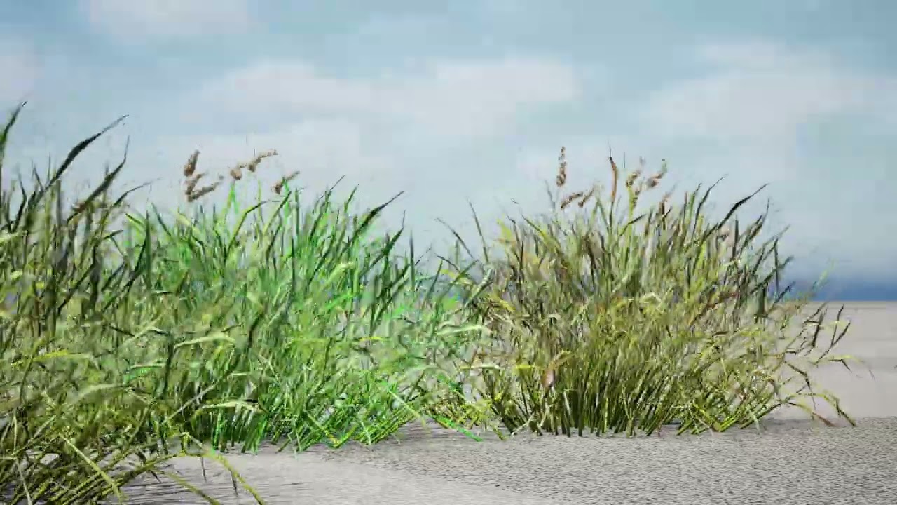 Realistic Grass 3D Model