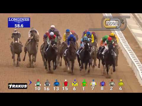 DWC 2016 Race 4 - UAE Derby Sponsored By The Saeed & Mohammed Al Naboodah Group
