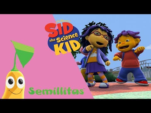 ¿Mis amigos dónde están? | Sid, El Niño Científico | Semillitas TV