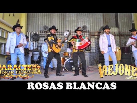 Los Viejones de Linares, Carácter Norteño - Rosas Blancas