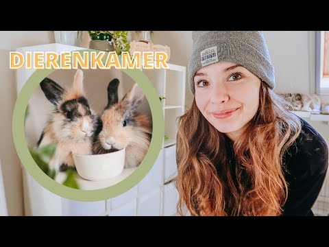 , title : 'EEN DIERENKAMER MAKEN + nieuwe konijnen!'