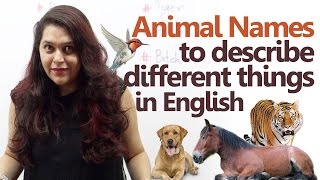 Animal names to describe different things – Spoken English lesson