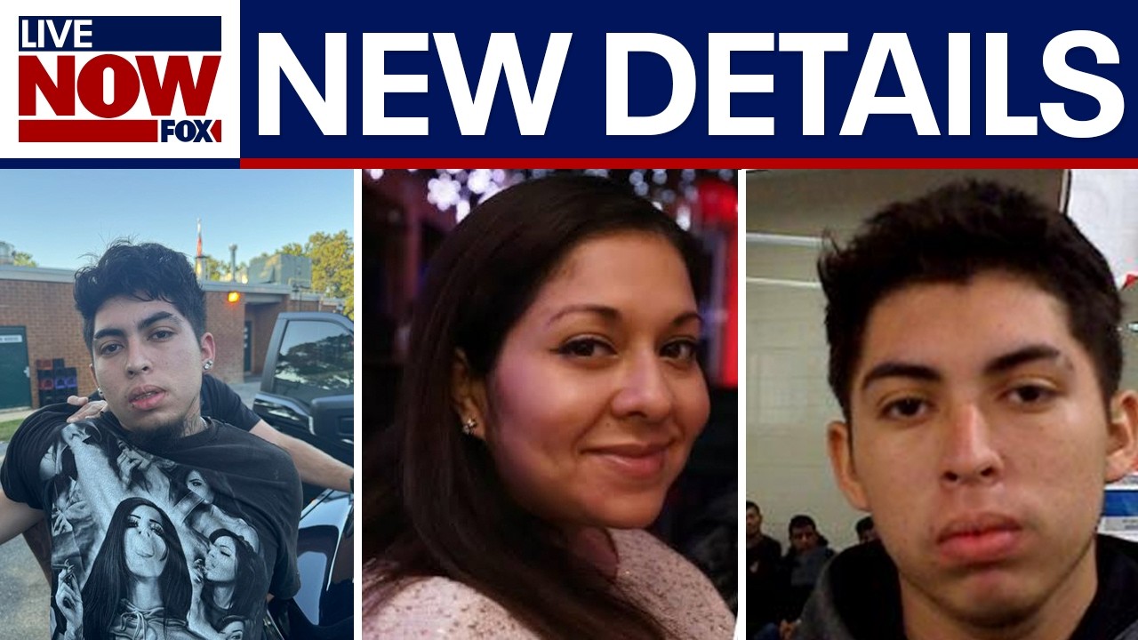 DHS confirms 'illegal alien' arrested for stabbing VA mother