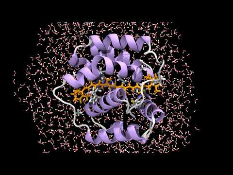Red Carotenoid Protein QM/MM molecular dynamics