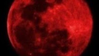 ❤️‍🔥Minecraft 1.21.7 - Hardcore EP8: Fisherman❤️‍🔥