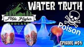 Water Is Alive, Fluoridation Conspiracy & The Pineal Gland - Podcast #54