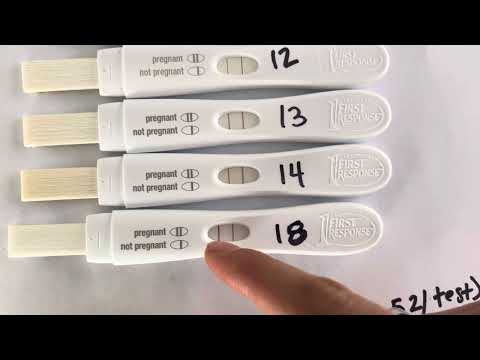 Comparing early result pregnancy tests (First Response, Clear Blue, Wondfo, Premom & Mommed)