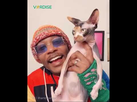 IAmMoshow The Cat Rapper - How Much Time Do You Spend With Your Cat?