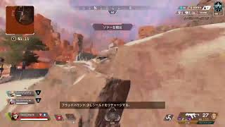 apex身内向け