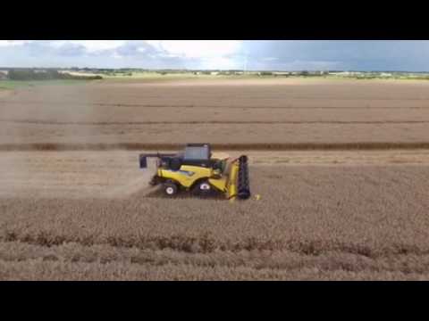 Newholland cr