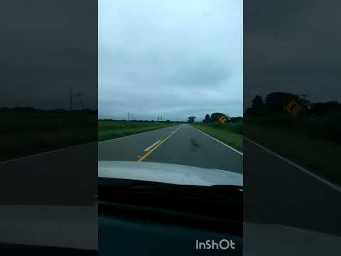 Córdoba.Argentina. (tramo ruta 17 a Miramar ) marzo 2026 , 10 am