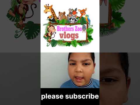 Bakra Le Liya Hamne | Mini Zoo Vlog | Brothers Zoo Vlogs | #001 #shorts #zoo #viral