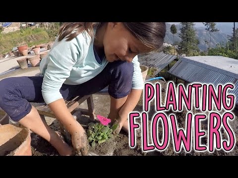 Evergreen Terrace – Planting a lot of flowers 🌏  Miriam & Eva on the road
