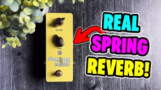 Video thumbnail for Danelectro Spring King Junior Reverb Pedal by R.J. Ronquillo