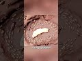 Life of a Termite Queen