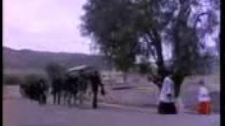 Soy el hijo del gallero (la película)