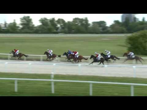 2017.05.07. 8. futam - NÉMETH FERENC EMLÉKKUPA I. FUTAMA HENDIKEP (V.o.) (szintetikus pálya)