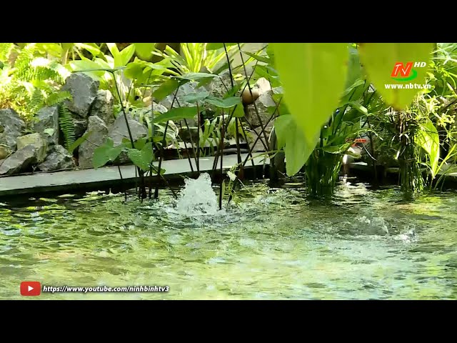 Không gian xanh: Kiến trúc xanh thân thiện với môi trường