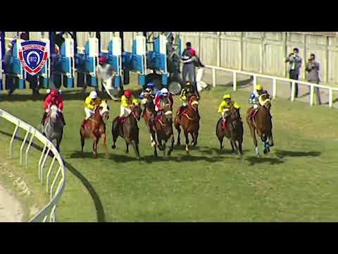 The Maiden Cup | Alshibaa | R.Joorawon