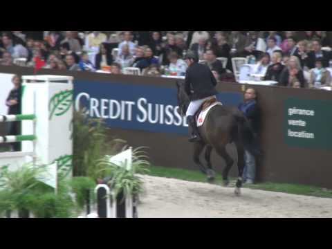 Casall (webstallions.com)