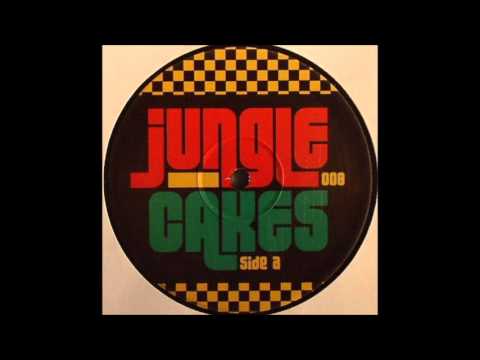 Reggae Drum & Bass Mashup - 30 Mins - Jungle Cakes/Prodigy/Serial Killaz - 100% Vinyl
