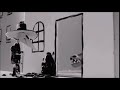 Sugar S Reaction Dog Attacks White Spy Covered With Black Paint