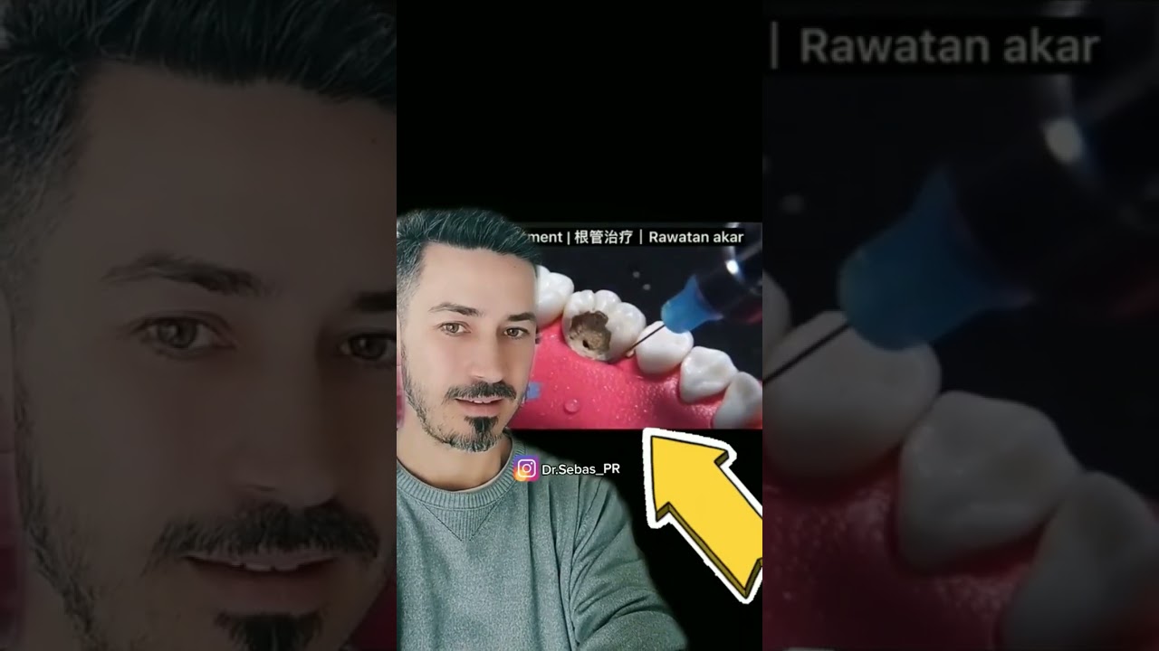 Sebastián Pérez Rolle-15